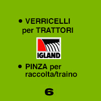 verricelli